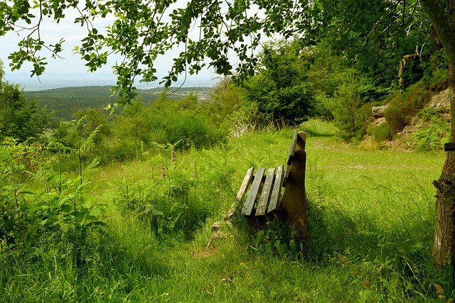 化学反应催 化学反应催