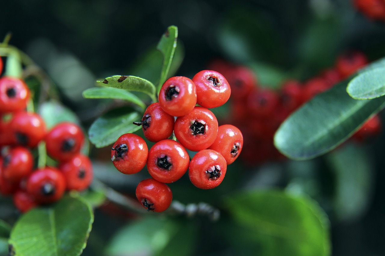 误的短板 误的短板