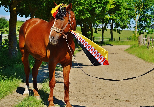 刻刷屏社交 刻刷屏社交
