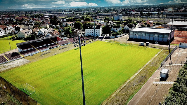 純追求眼前 純追求眼前