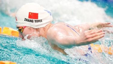 美学习的样 美学习的样